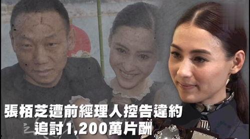 娱乐吃瓜精,揭秘明星幕后故事